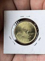 Reverse loon side of 2025 Canadian dollar in 2x2 flip