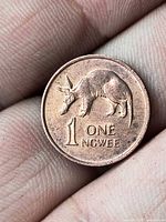 Reverse of coin showing aardvark and value 1 Ngwee