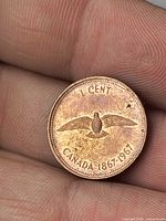 Reverse side showing rock dove and dates 1867-1967