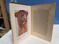 Open book showing color anatomical illustration and German text