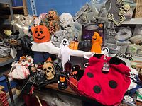 Overview of entire lot on shelf with decorations, costumes, props visible