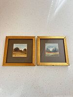 Front view of both framed prints