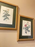 Both framed botanical prints hanging on wall