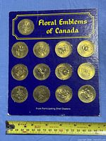 Front of Floral Emblems of Canada board showing 13 tokens