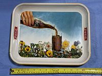 Top view of tray showing full artwork and size scale