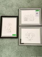 Three framed botanical sketch prints on carpet