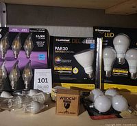 Overview of boxed and loose LED bulbs including Luminus, Feit Electric, WSDCN and loose bulbs