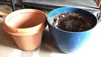Terracotta planter and blue plastic planter side by side