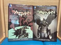 Front covers of both Batman hardcovers
