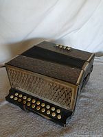 Full view of accordion showing wood-grain body, grille and buttons