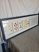 Full view of the long black frame with eight pressed flower panels