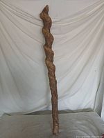 Full view of vine-twisted walking staff standing upright