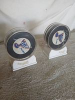 Two St. Louis Blues autographed pucks in display cases on textured surface