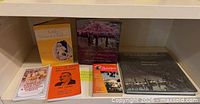 Shelf view showing all six books: two hardcovers (purple, gray) and four paperbacks (yellow, orange, red, white)