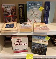Shelf view of nine fiction books showing spines and some front covers