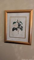 Framed botanical print on wall