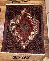 Full view of Persian wool area rug with fringe, design and size overlay