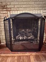 Full view of screen in front of fireplace