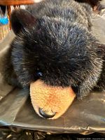 Black stuffed bear head and torso view