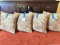 Five pillows shown lined against furniture, displays overall look and quantity