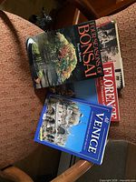 Three books: Four Seasons of Bonsai, Florence, All Venice