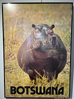 Full view of framed hippo poster showing image and Botswana text