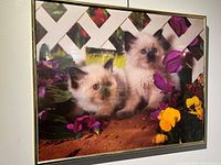 full view of framed print on wall