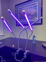 Grow lights clamped to desk showing four illuminated LED bars on flexible arms
