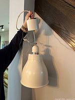 Full view of pendant showing shade, rod and canopy