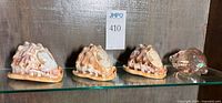 Four conch shells on glass shelf: three carved cameo shells and one clear glass shell