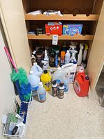 Cabinet filled with various cleaners, detergents, dusters, brushes