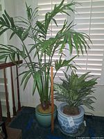 Tall faux palm and shorter faux evergreen side by side with measuring stick for scale