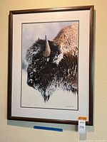 Framed bison photograph showing full artwork and frame