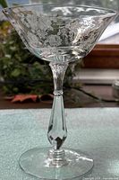 Full view of the etched stemmed glass