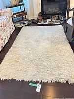 Full view of bone-ivory shag rug on floor
