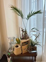 Full group showing live plant, faux plant, watering can, vases, and book