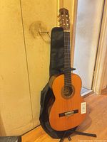 Full view of Suzuki guitar resting on soft gig bag