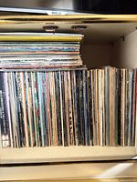 Wide view of cabinet shelf filled with vinyl LPs, shows quantity and orientation