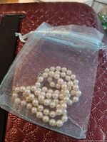 Necklace coiled in light blue organza pouch