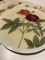 Stack showing rose illustrations and circular shape