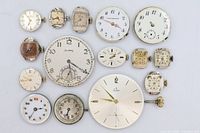 All 15 watch components laid out for overview