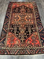 Full view showing entire rug design and fringe