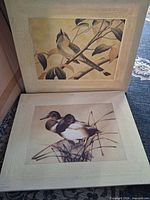 Both framed bird canvas prints side by side