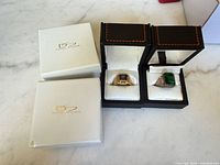 Overview showing both rings in open Daniel Steiger boxes with outer slipcovers