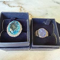 Both rings in boxes showing stones and settings