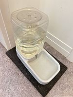 Dispenser filled with water seated on black mat