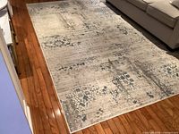 Full view of area rug in room