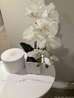Full view of orchid in ceramic pot beside hat box