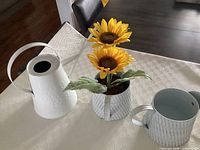 Watering can, planter with sunflowers on tabletop