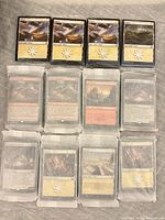 Twelve sealed card bundles with visible Plains, Mountain and other front cards